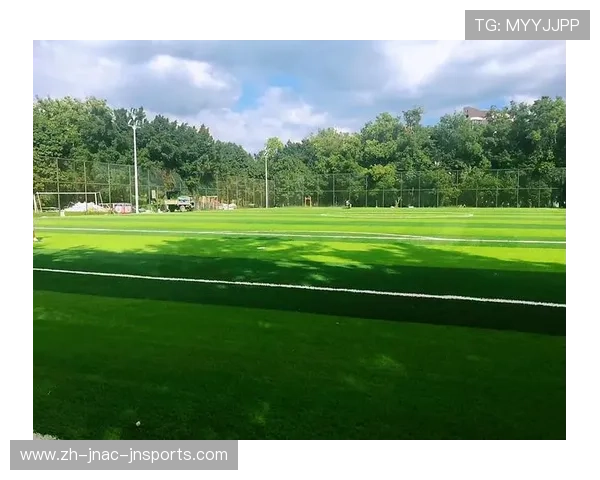 足球装备的选择与不同场地适应性能分析